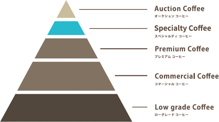 スペシャルティコーヒー